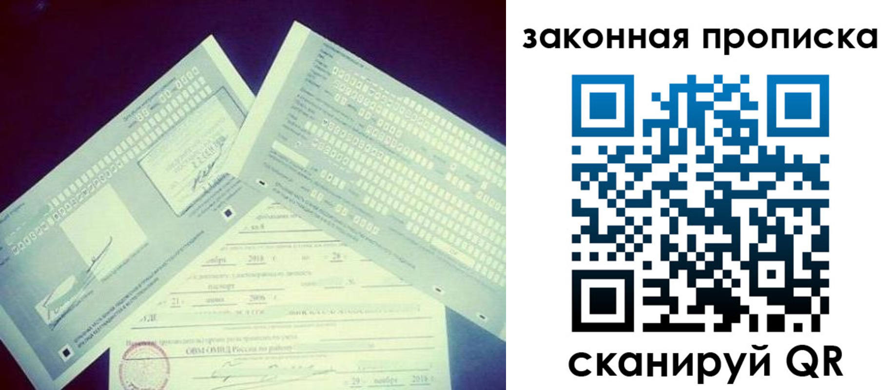 прописка поиск в Мытищах